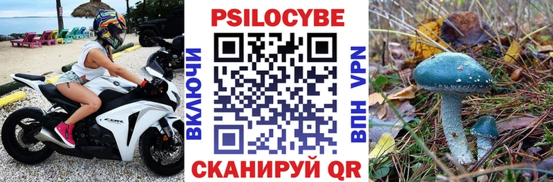 mega ссылка  где купить наркоту  Октябрьск  Галлюциногенные грибы Cubensis 
